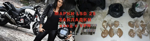 индика Киренск
