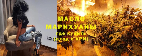 индика Киренск