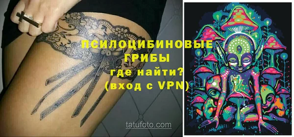 индика Киренск