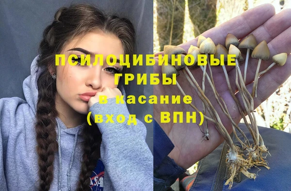 ПСИЛОЦИБИНОВЫЕ ГРИБЫ Кинешма