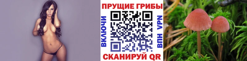 Галлюциногенные грибы MAGIC MUSHROOMS  купить наркотик  Обнинск 